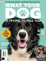 What Your Dog Is Trying To Tell You